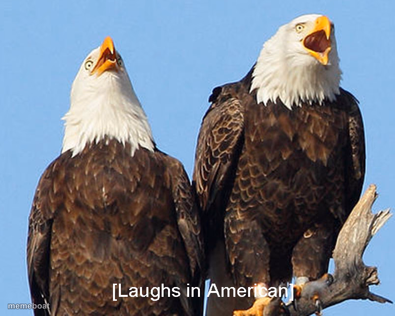 laughs in american - meme generator image preview
