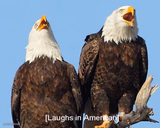 laughs in american