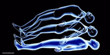 Leaving my body