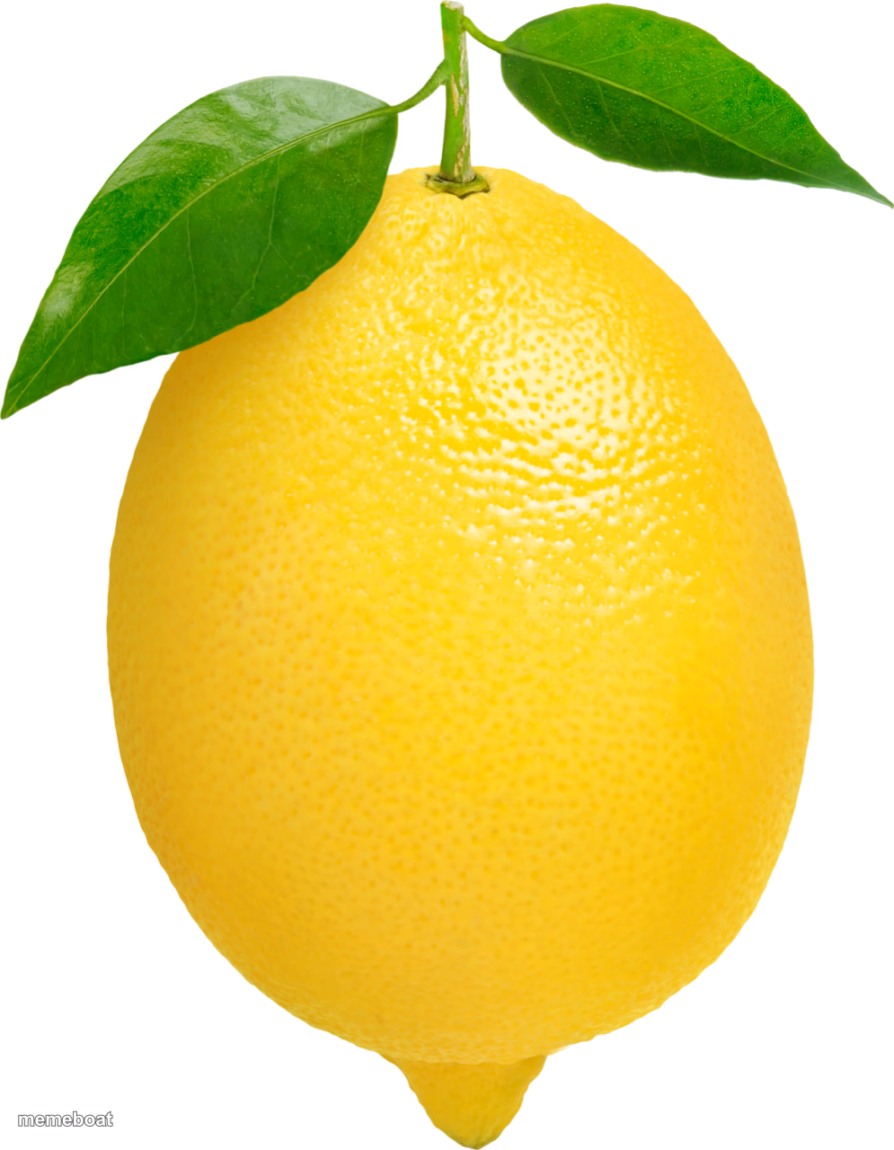 Lemon - meme generator image preview