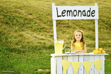 Lemonade stand