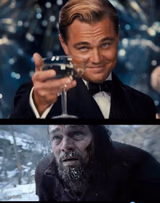 leo before after