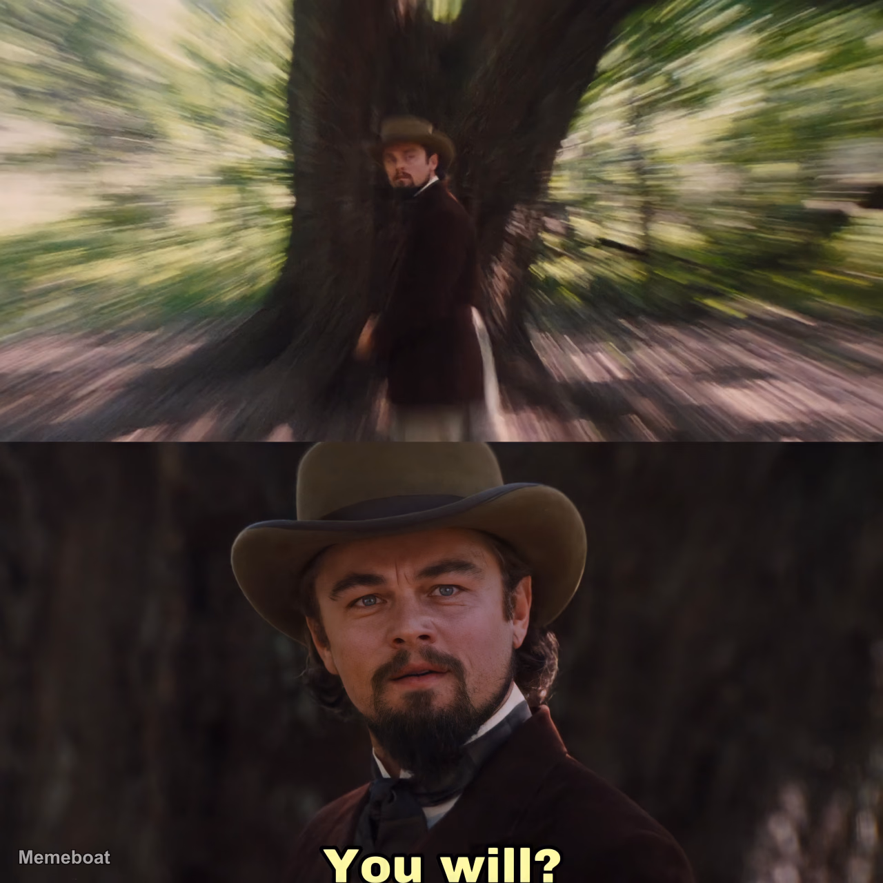 Leonardo Dicaprio You Will? - meme generator image preview
