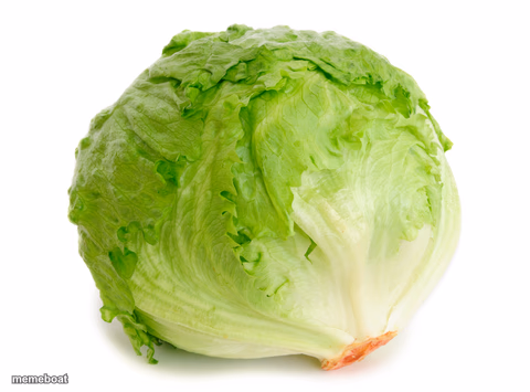 Lettuce - meme generator image preview