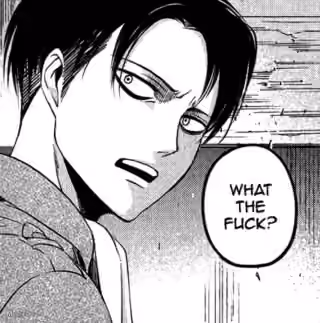 Levi Ackerman "What the Fuck?"