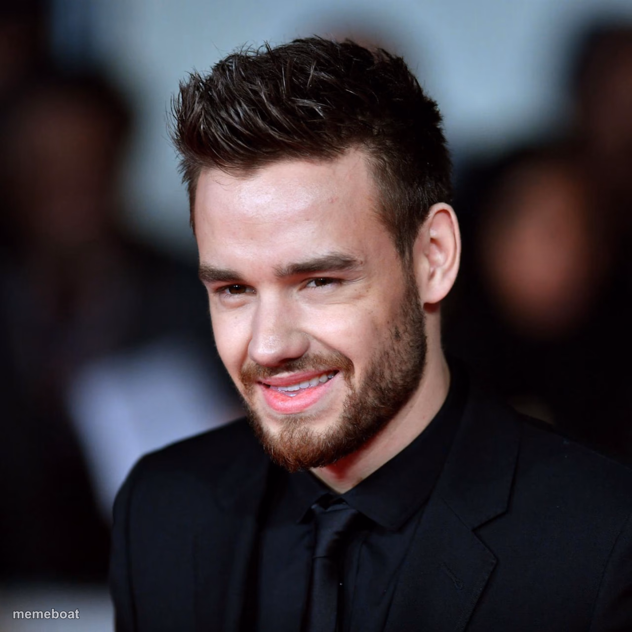 Liam Payne - meme generator image preview