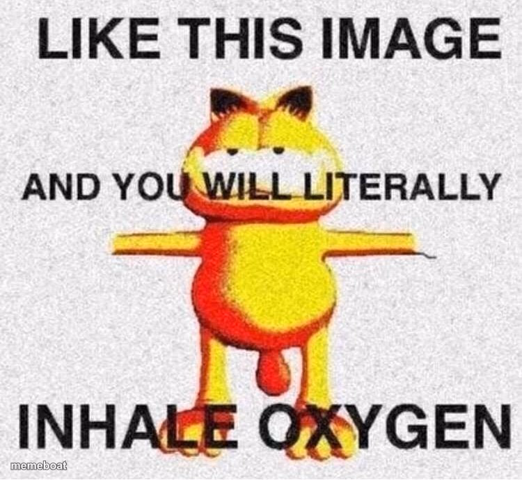 like this image - meme generator image preview