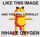like this image