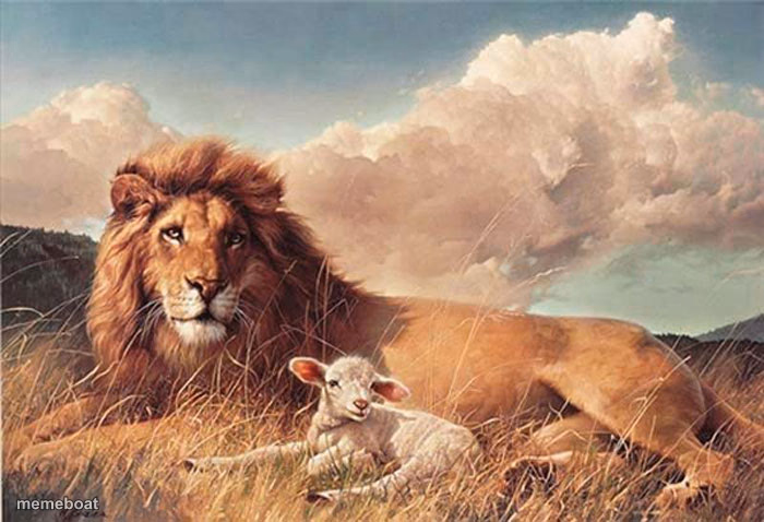 lion and lamb - meme generator image preview