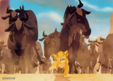 Lion King Stampede