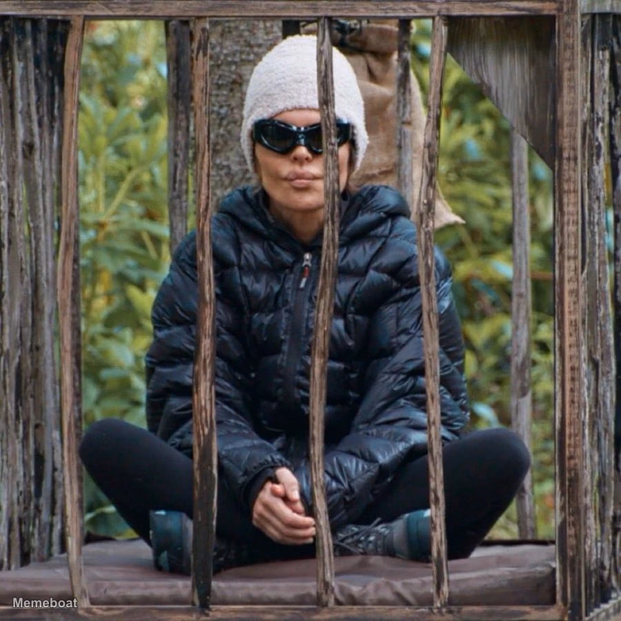 Lisa Rinna in the Traitors Cage - meme generator image preview