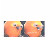 Listen here you little shit