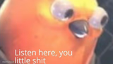 Listen here, you little shit