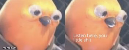 Listen here you little shit bird - meme generator image preview
