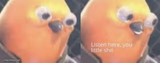 Listen here you little shit bird