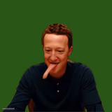 Lizardberg 2
