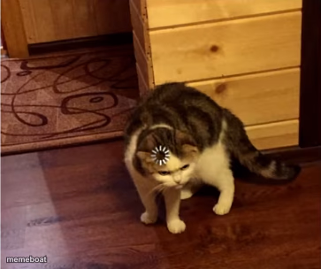 Loading Cat HD - meme generator image preview