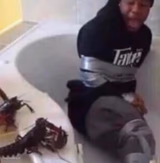 Lobsters