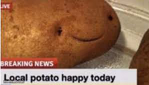 Local Potato Happy Today