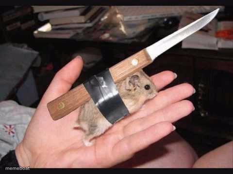 Lock and Load Hamster - meme generator image preview