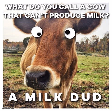 Lol - meme generator image preview