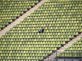 Lonely fan