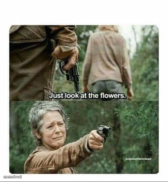 Look at the flowers - meme generator image preview