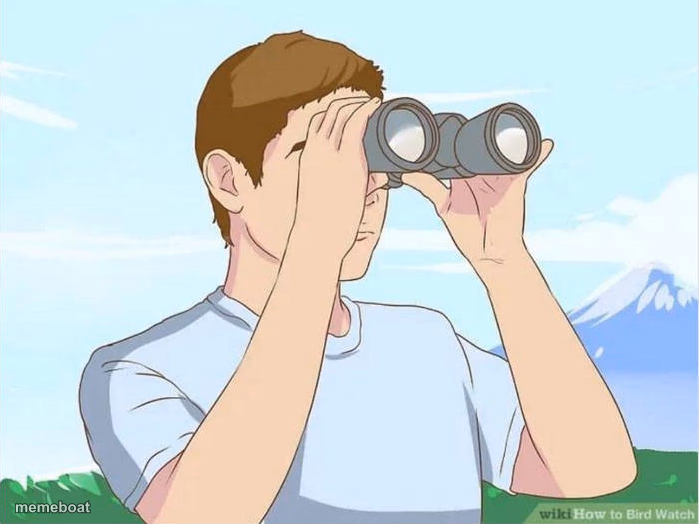 looking - meme generator image preview
