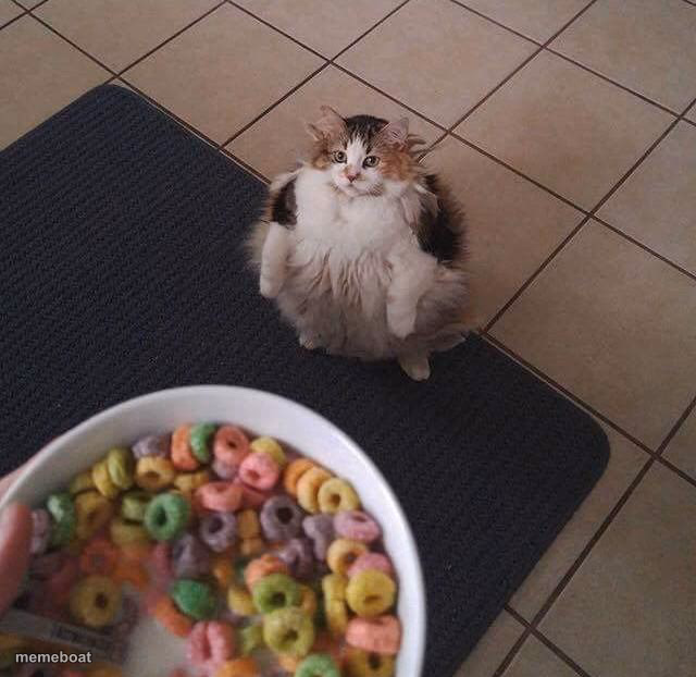 Loops Brother - meme generator image preview