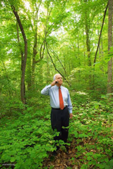 Lost in the Woods