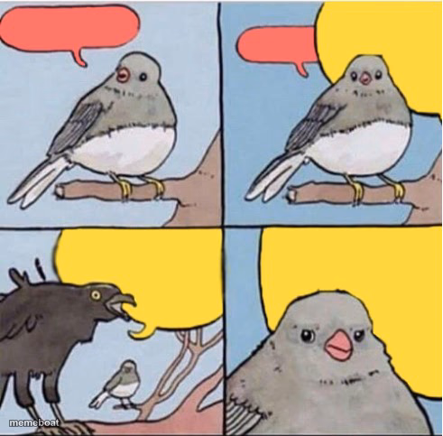 Loud bird - meme generator image preview