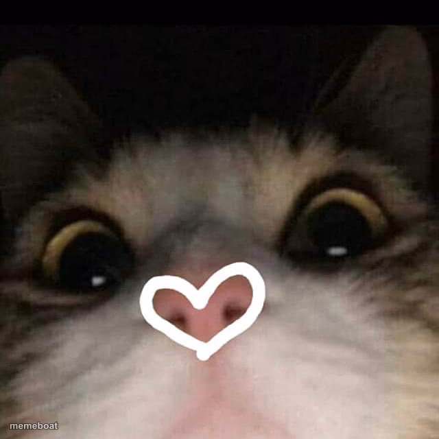 Love u - meme generator image preview