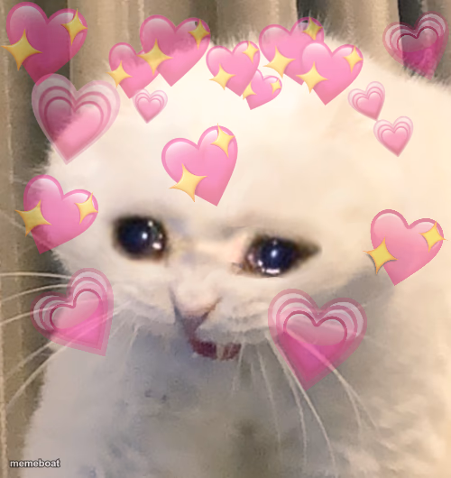Crying Heart-Eyes Cat - meme generator image preview