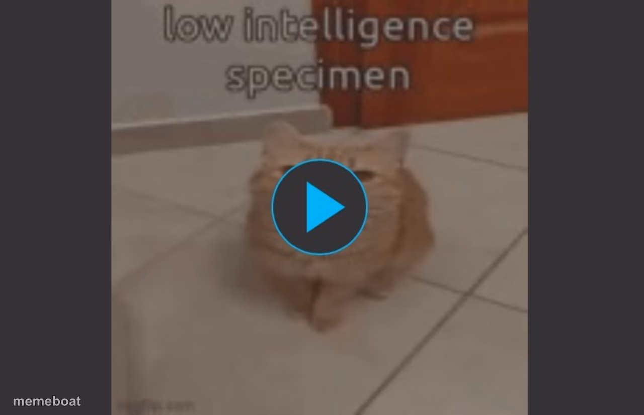 Low intelligence specimen - meme generator image preview
