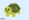 low quality turtle