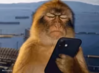 Mad Angry Monkey Looking at Phone