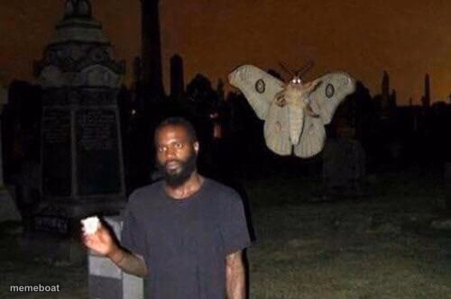 Man and Moth - meme generator image preview