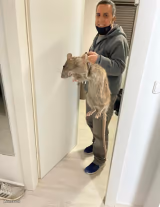 Man Holding Giant Rat