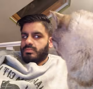 Man Ignoring Dog