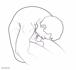 Man Sucking His Own Dick