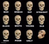 man woman gay straight skull