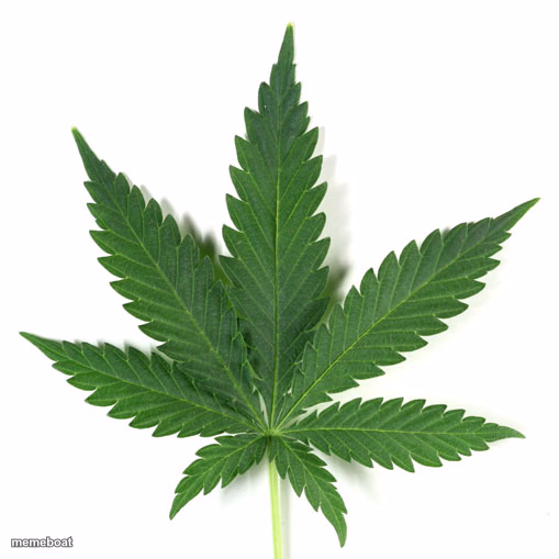 Marijuana leaf - meme generator image preview