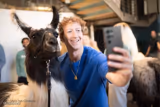 Mark Zuckerberg Llama Selfie