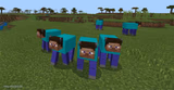 me and the boys