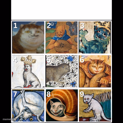 Medieval Cats - meme generator image preview