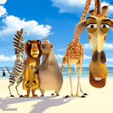 Melman Why Are You