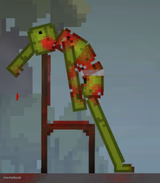 Melon Bandage