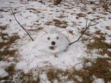 Melted Snowman