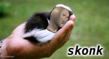 Meme man skonk