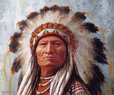 memes,indian,sitting bull
